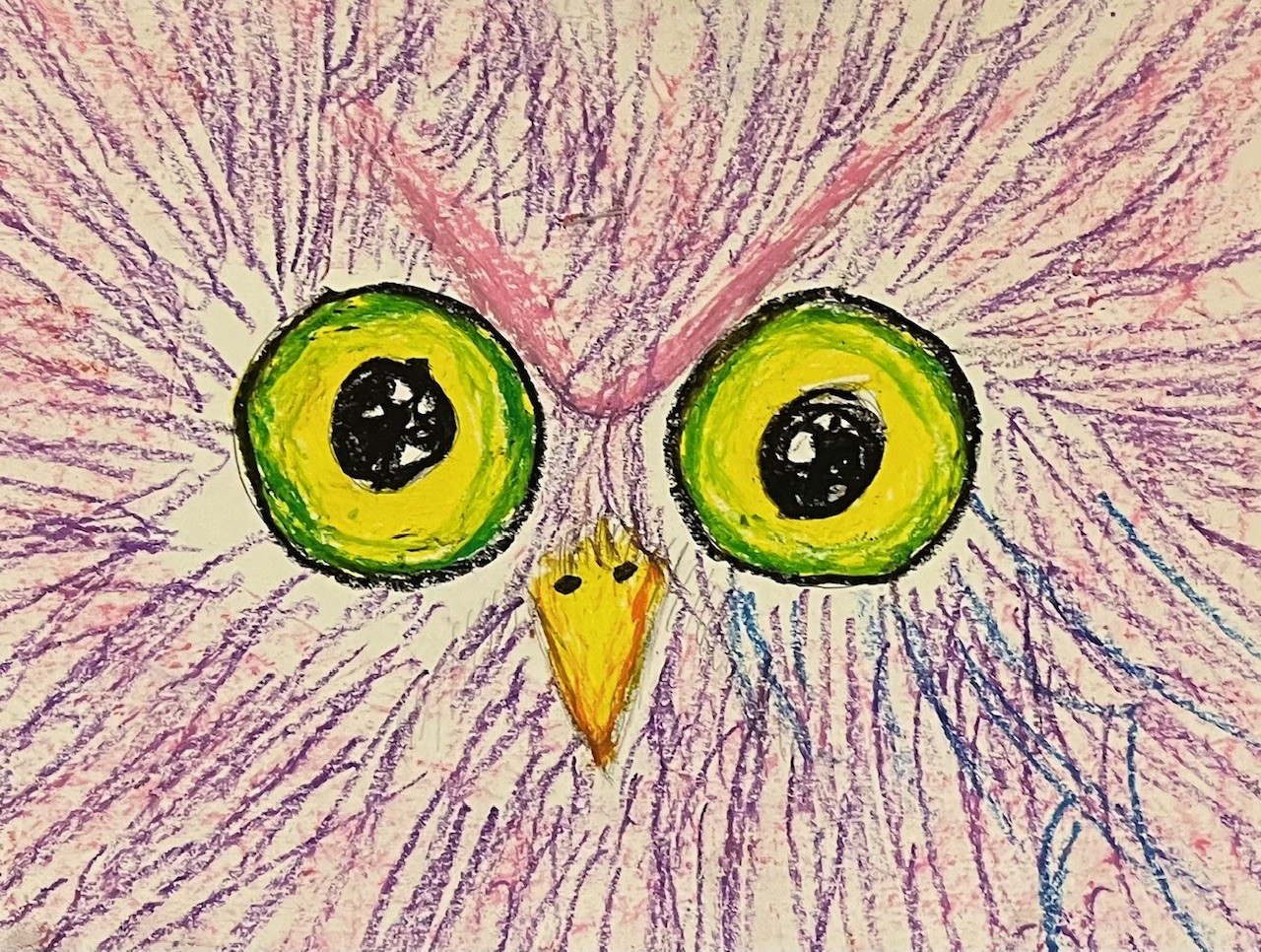Owl