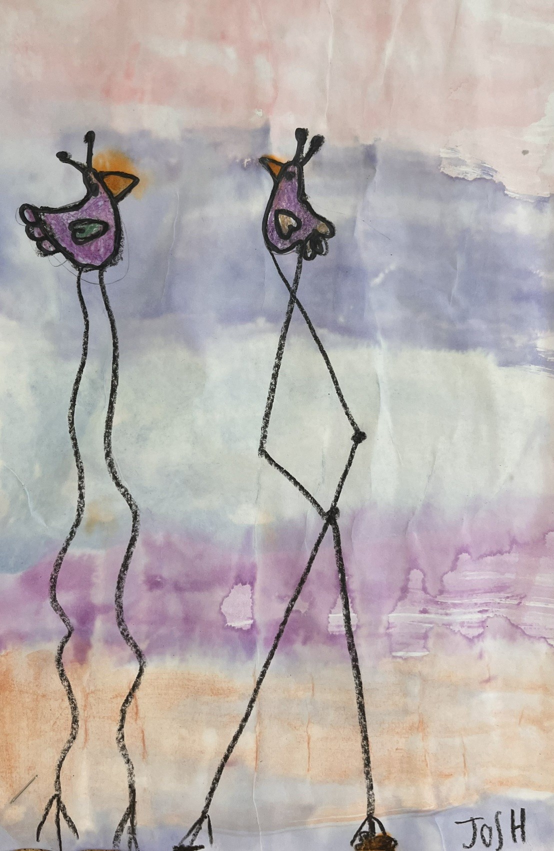 birds